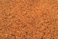 Texture of surface of the red sands closeup