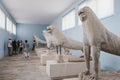 Original Naxian Lions statues in the Archaeological Museum of Delos, Greece Royalty Free Stock Photo