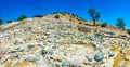 Original neolithic dwellings at Choirokoitia, Cyprus