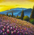 Original oil painting of flowers,beautiful field flowers on canvas