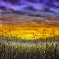 Original oil painting of grass summer field against the background of sky at sunset dawn