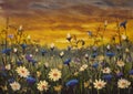 Original oil painting of white daisies flower blue cornflowers flowers Royalty Free Stock Photo