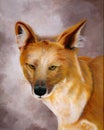Original painting of a Asiatic wild dog, a child art