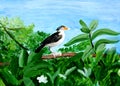 Original painting of a beautiful Myna on a tree