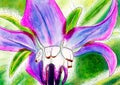 Original painting of a Borage flower.