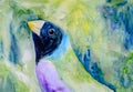 Original painting of a Gouldian finch.