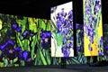 Multi-sensory exhibition in Poznan, Poland - Irises, painting of Vincent Van Gogh, Dutch Post-Impressionist painter