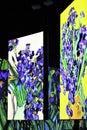 Multi-sensory exhibition in Poznan, Poland - Irises, painting of Vincent Van Gogh, Dutch Post-Impressionist painter