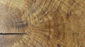 An interesting pattern of annual rings on the wood texture of an oak tree with cracks. Abstract background with oak wood texture. Royalty Free Stock Photo