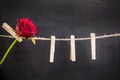 Red rose hanging on a wooden clothespin Royalty Free Stock Photo