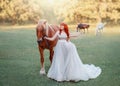 Original rest for bride at bachelorette party, plump big lady in long white dress holding brown graceful horse with Royalty Free Stock Photo