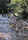 `Rock Garden` in the bed of the Olkhovka River, Kislovodsk National Park, Russia.