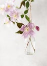 Original seasonal romantic floral decoration in the form of mini-vase and bouquets of pink clematis flowers hanging
