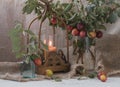 An original still life of Russia with the fire of a wax candle. Candle flame close-up. Rustic still life with a candle and a wild