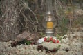 An original still life of Russia with the fire of a wax candle. A wax candle is burning in the forest, the candle flame is white m Royalty Free Stock Photo