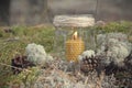 An original still life of Russia with the fire of a wax candle. A wax candle is burning in the forest, the candle flame is white m Royalty Free Stock Photo