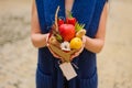 The original unusual edible vegetable and fruit bouquet in girl hands Royalty Free Stock Photo