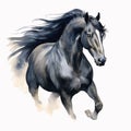 Original watercolor painting of a black running horse isolated on white background. Royalty Free Stock Photo