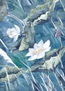 An original watercolor painting,lotus