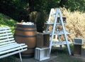 Original wedding bar in the shadowy garden