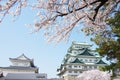 Sakura Nagoya Castle Royalty Free Stock Photo