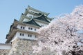 Sakura Nagoya Castle Royalty Free Stock Photo