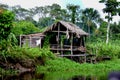 Orinoco life on the river Royalty Free Stock Photo