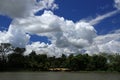 Orinoco River Royalty Free Stock Photo