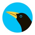 Oriole bird head vector illustration flat style profile