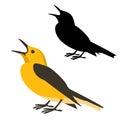 Oriole bird vector illustration flat style black silhouette