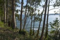 The Orion beach from Sonabia