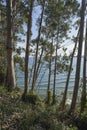 The Orion beach from Sonabia