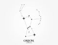 orion constellation. astronomy and stars design element. vector image