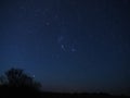 Orion constellation and Sirius star observing