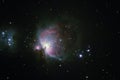 The Orion Nebula in the constellation of Orion Royalty Free Stock Photo