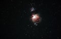 Orion nebula enhanced
