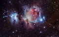 orion nebula in the constellations orion M42