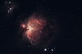 Orion Nebula Royalty Free Stock Photo
