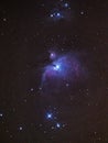 Orion nebula night sky stars