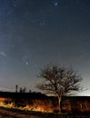 Orion stars and pleiades rising night sky observing in Latvia