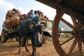 Orissa's tribal people at weekly market. Royalty Free Stock Photo