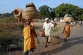 Orissa's tribal people at weekly market