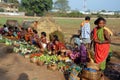 Orissa's tribal people at weekly market Royalty Free Stock Photo