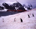 Orkney Islands, Antarctica. An Argentine research station, the oldest in Antarctica, with red buildings and Argentine