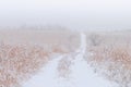 Snowy path through Illinois grassland prairie