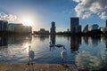 Orlando city skyline at sunset with fountain and cityscape, Florida, USA Royalty Free Stock Photo