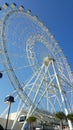 Orlando Disney land ferris wheel