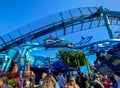 The entrance to the Mako Roller Coaster at SeaWorld Orlando Florida