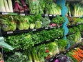 The fresh produce aisle of a grocery store with colorful fresh fruits and vegetables