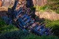 People enjoying Expedition Everest rollercoaster , Legend of the Forbidden Mountain in Animal Kingdom 7